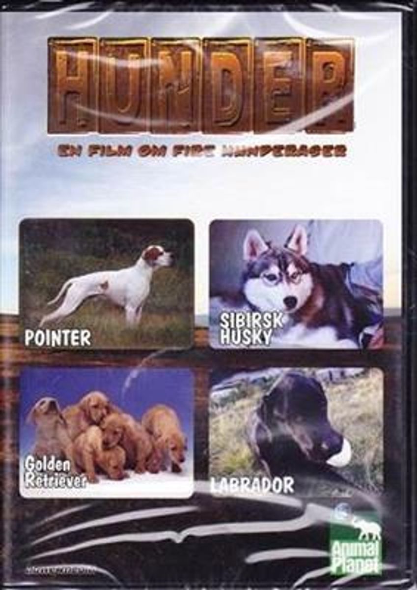 Hunder - En Film Om Fire Hunderaser (DVD)