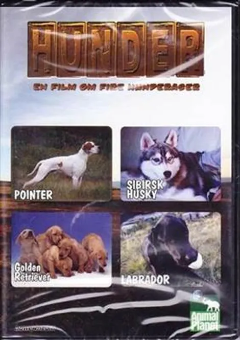 Hovedbilde Hunder - En Film Om Fire Hunderaser (DVD)