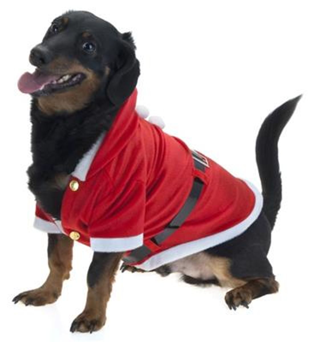 Hundedrakt - Juledrakt for Hund