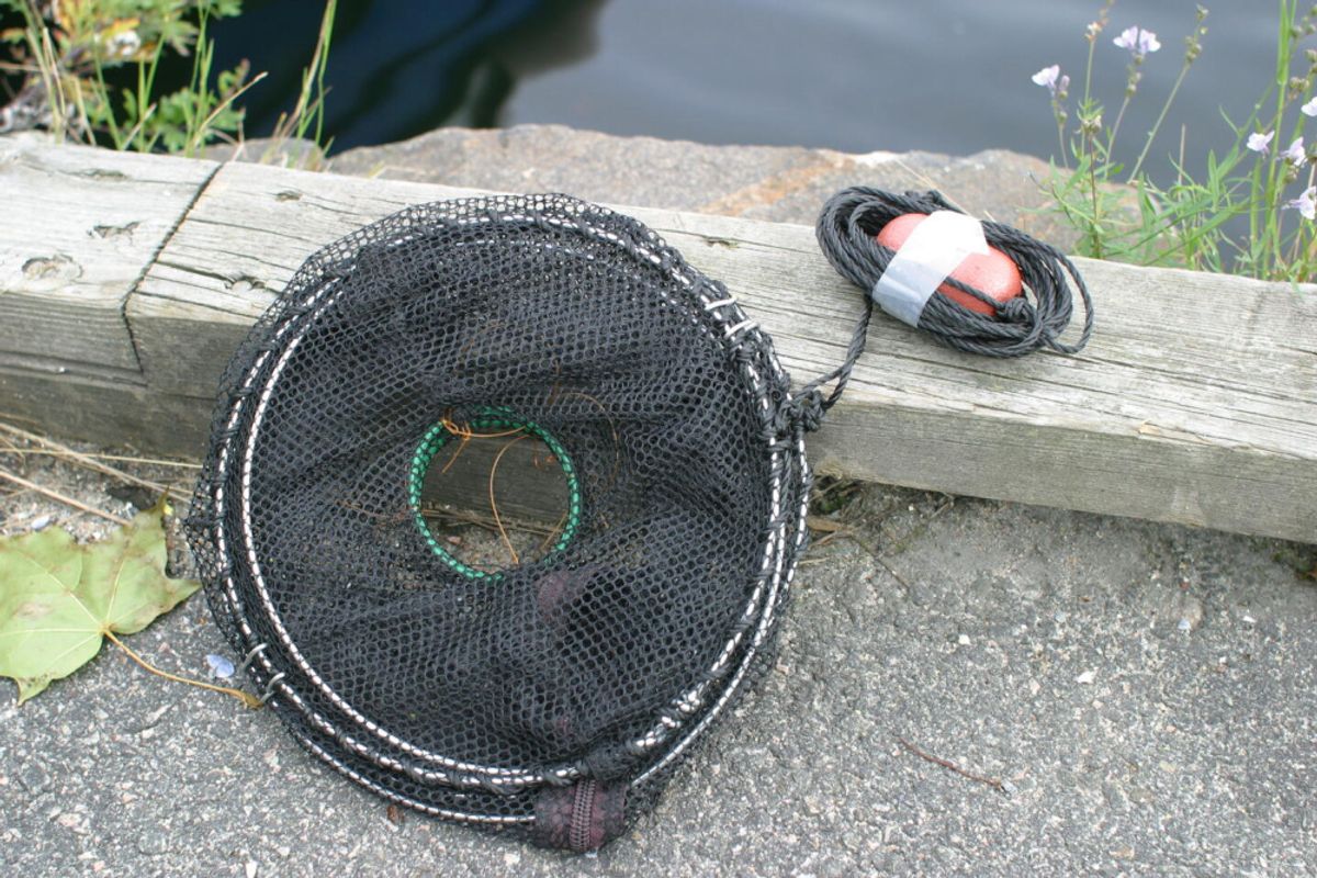 Teine, Fisketeine, Krabbeteine for Barn, sammenleggbar teine for den lille fisker