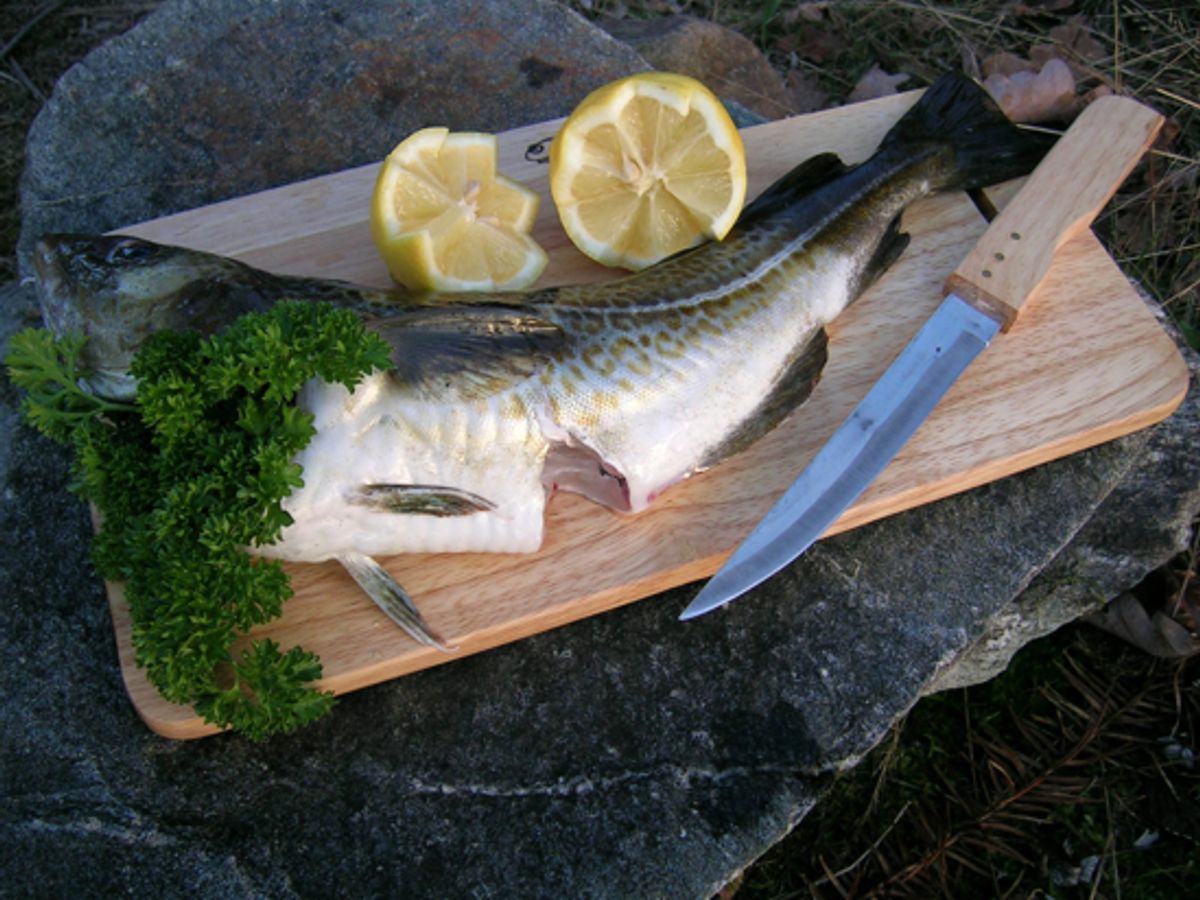 Trefjøl med Kniv - 24x12cm - Haraldfjøla