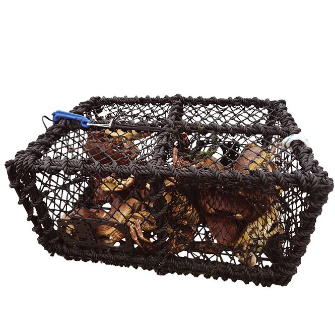 Hovedbilde Krabbeteine Fedje 62x43x32cm