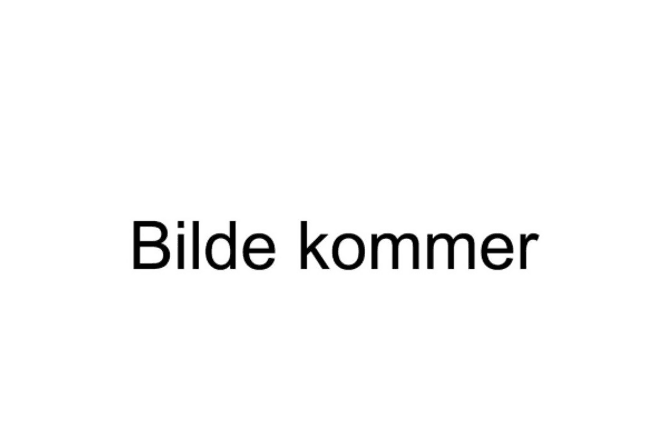 Hovedbilde Beha panelovn med Wi-Fi hvit 1250W  