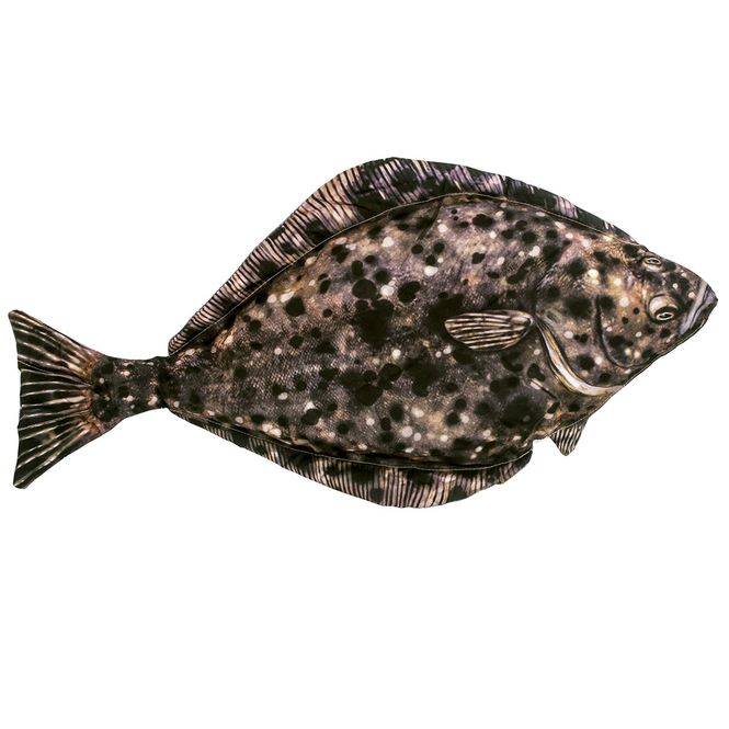 Hovedbilde Kosefisk - Pute - Kveite - 100 cm
