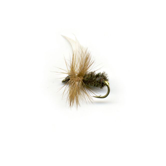 Hovedbilde Tørrflue - Coachman - 2-pk